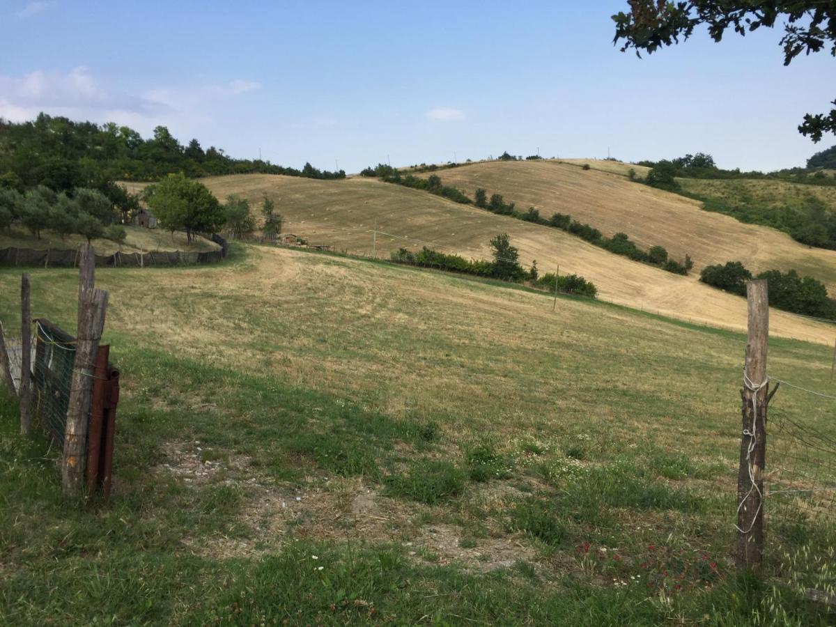 La Palazzina Di Ciagnano Βίλα Ozzano dell'Emilia Εξωτερικό φωτογραφία